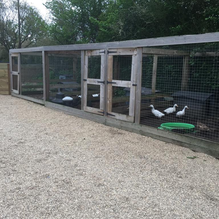 Willow Court Farm The Lodge & Petting Farm, 8 Mins From Legoland & Windsor, 15 Mins From Lapland Uk ภายนอก รูปภาพ