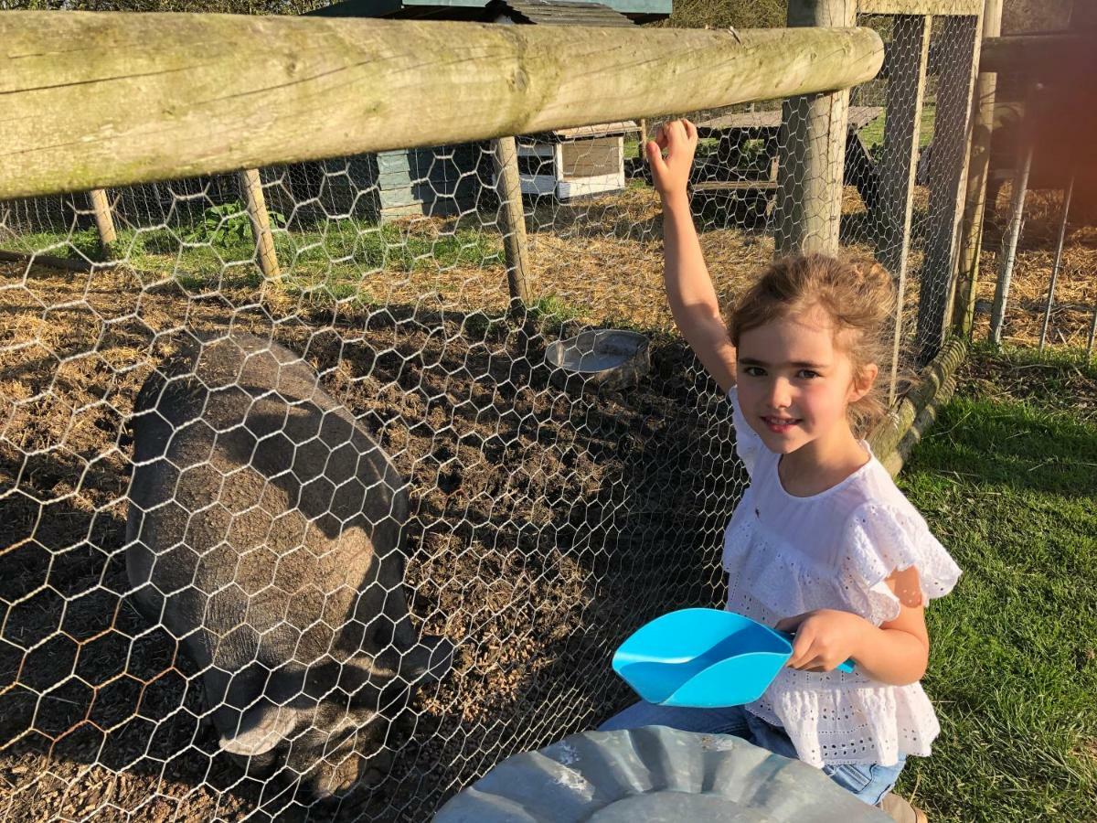 Willow Court Farm The Lodge & Petting Farm, 8 Mins From Legoland & Windsor, 15 Mins From Lapland Uk ภายนอก รูปภาพ
