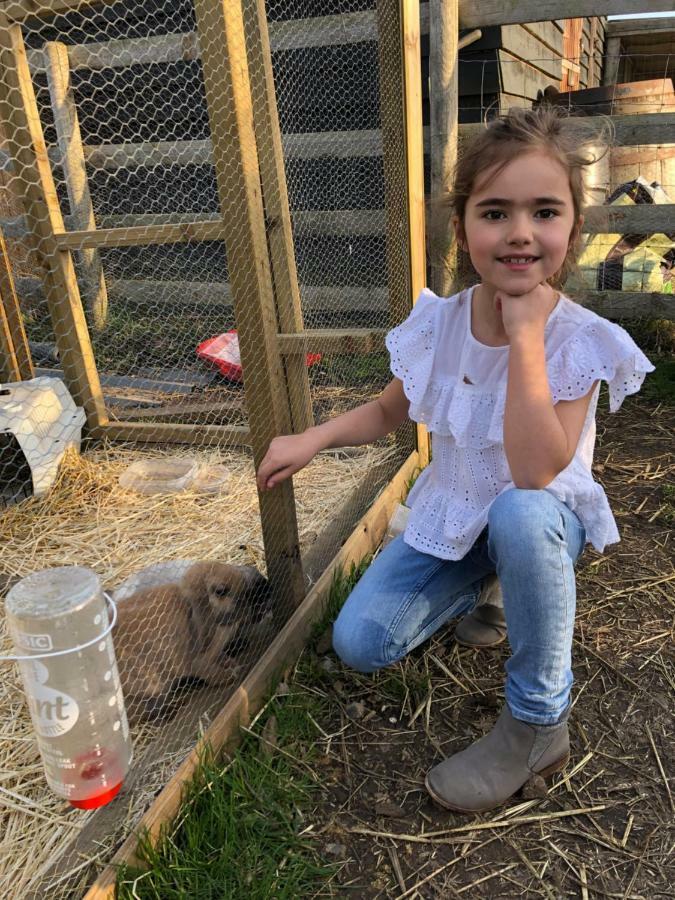 Willow Court Farm The Lodge & Petting Farm, 8 Mins From Legoland & Windsor, 15 Mins From Lapland Uk ภายนอก รูปภาพ