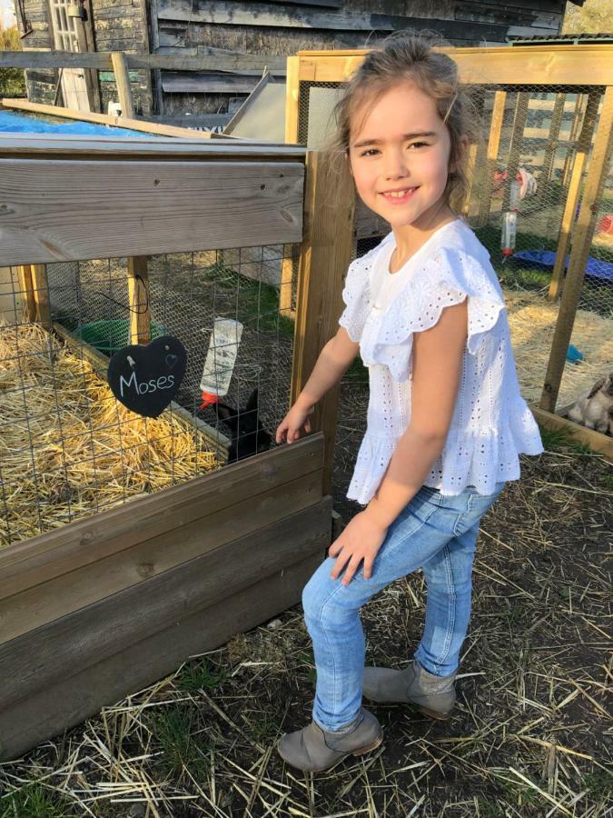 Willow Court Farm The Lodge & Petting Farm, 8 Mins From Legoland & Windsor, 15 Mins From Lapland Uk ภายนอก รูปภาพ