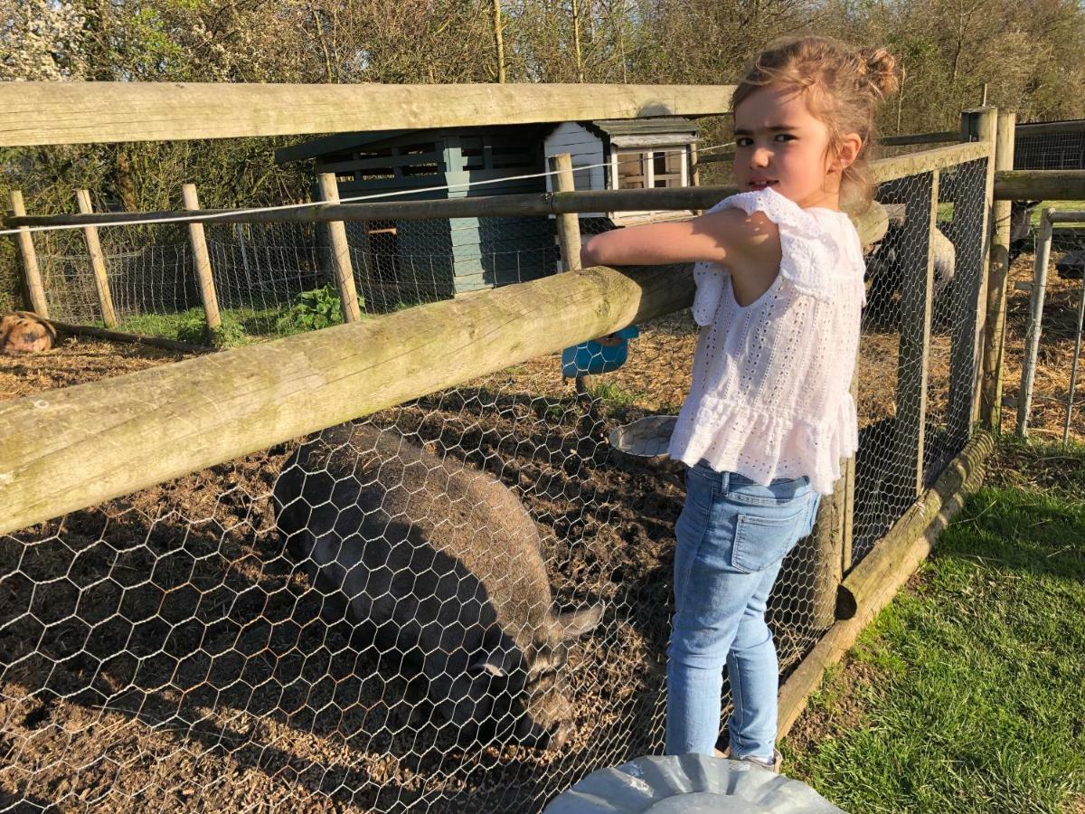 Willow Court Farm The Lodge & Petting Farm, 8 Mins From Legoland & Windsor, 15 Mins From Lapland Uk ภายนอก รูปภาพ